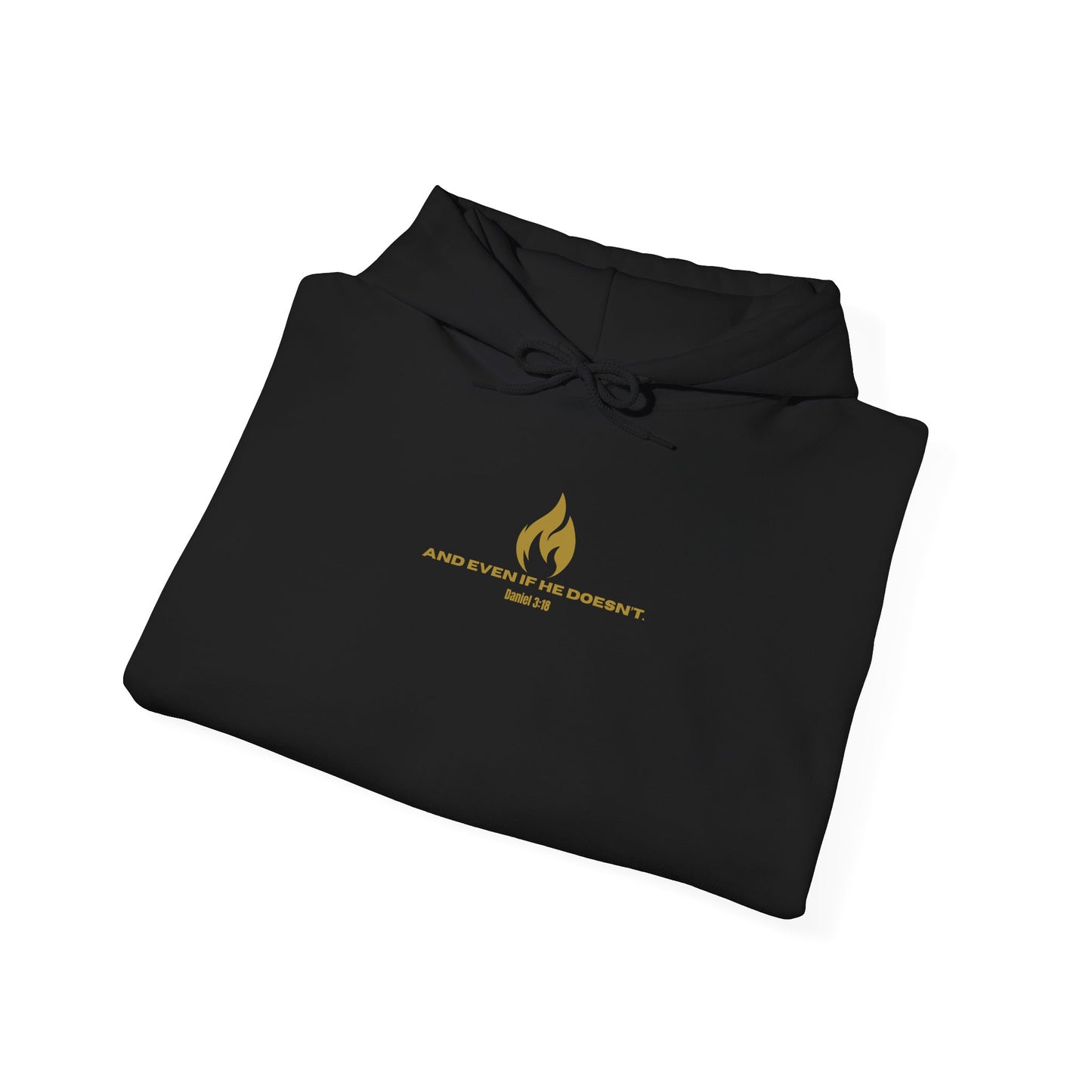 Daniel 3 Scene Hoodie
