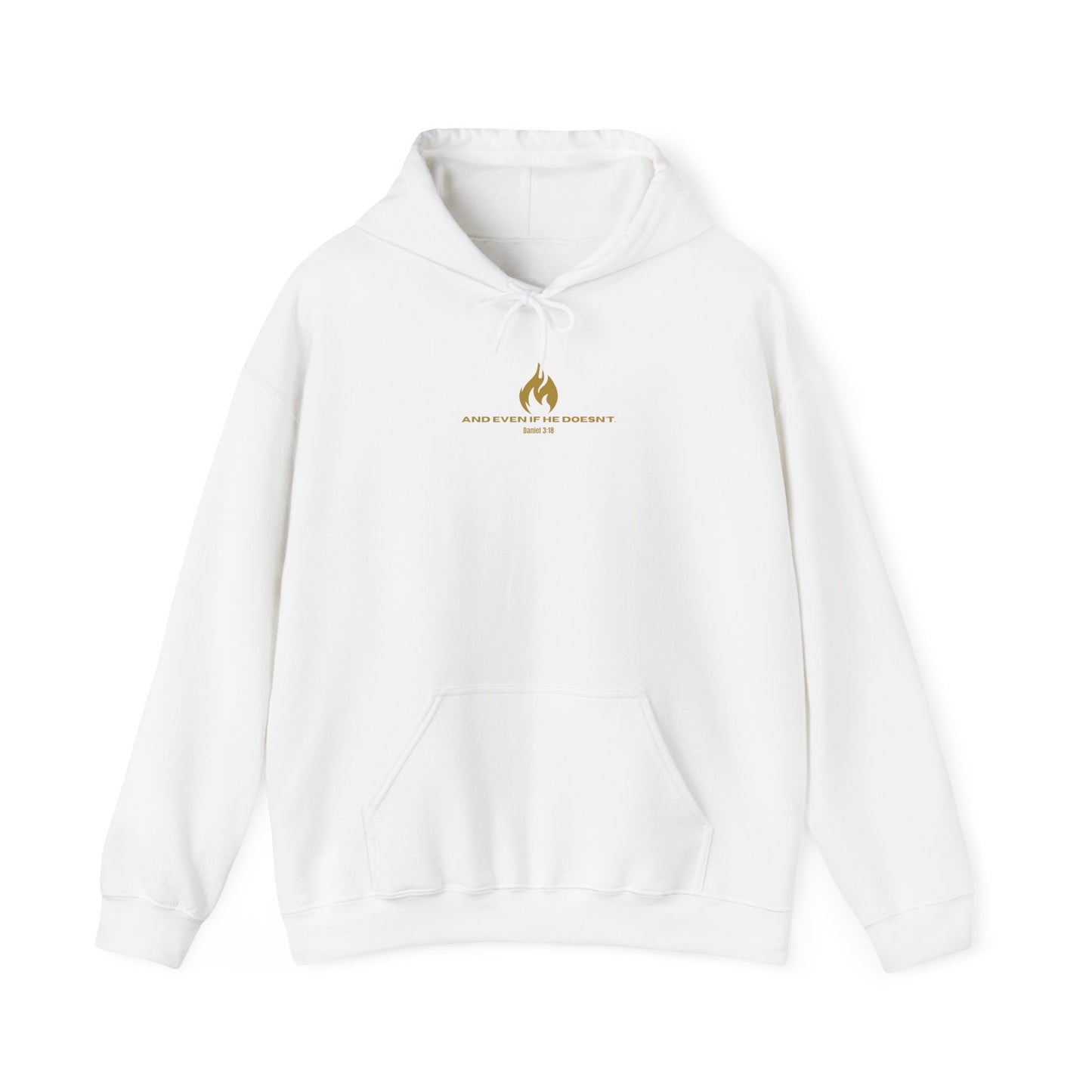 Daniel 3 Scene Hoodie