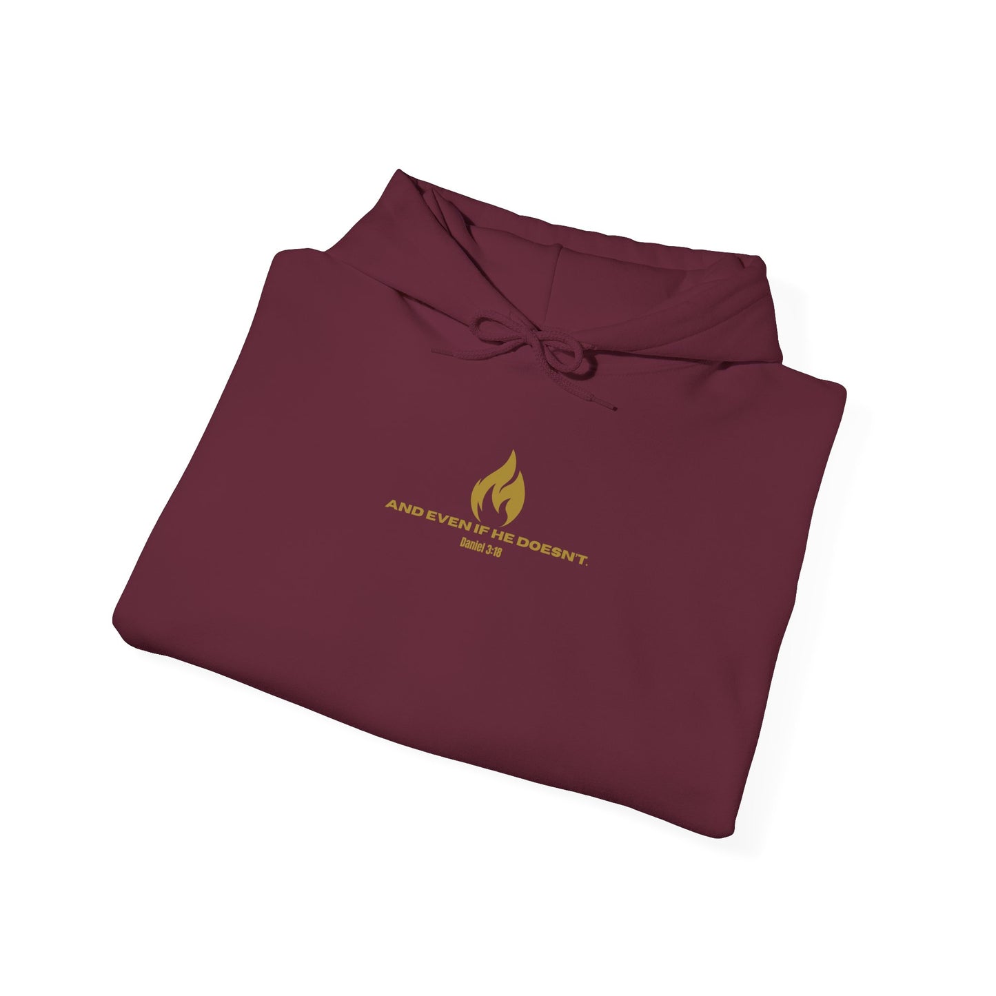 Daniel 3 Scene Hoodie