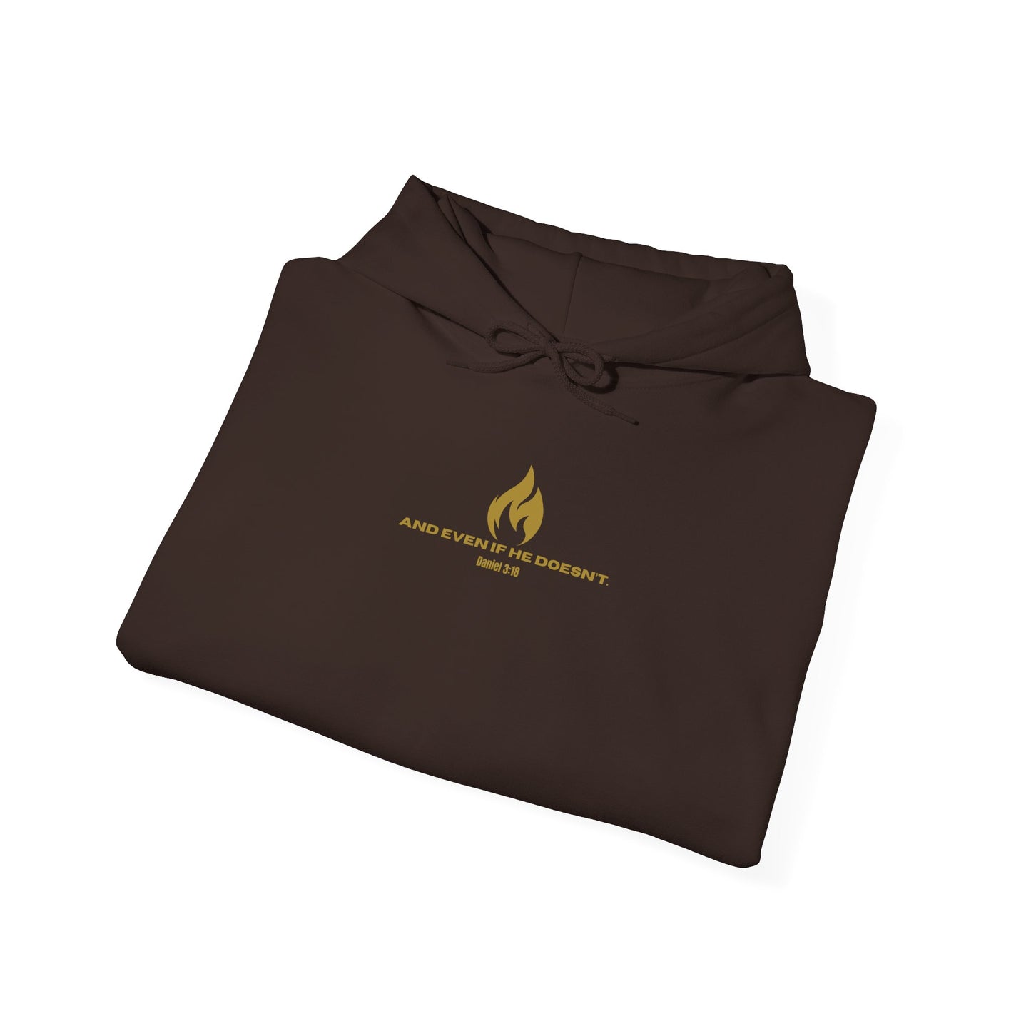 Daniel 3 Scene Hoodie