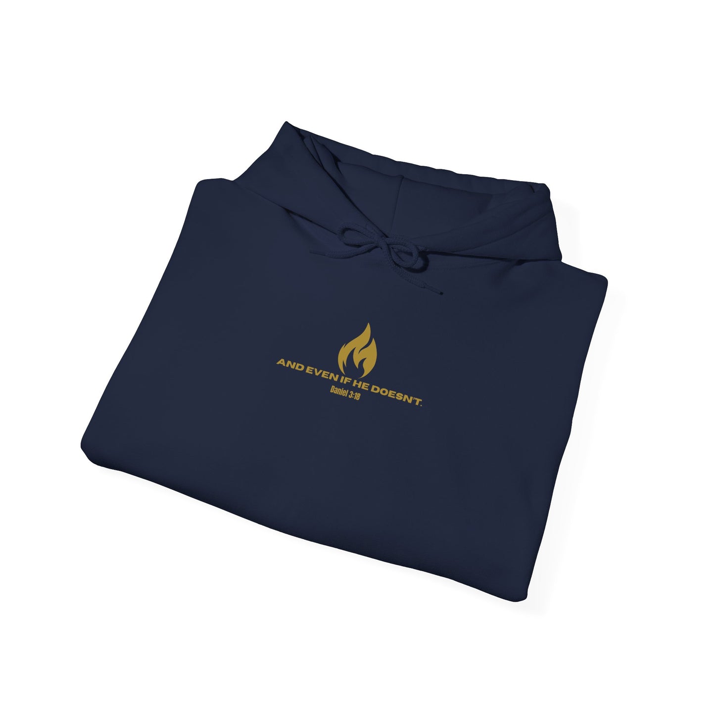 Daniel 3 Scene Hoodie