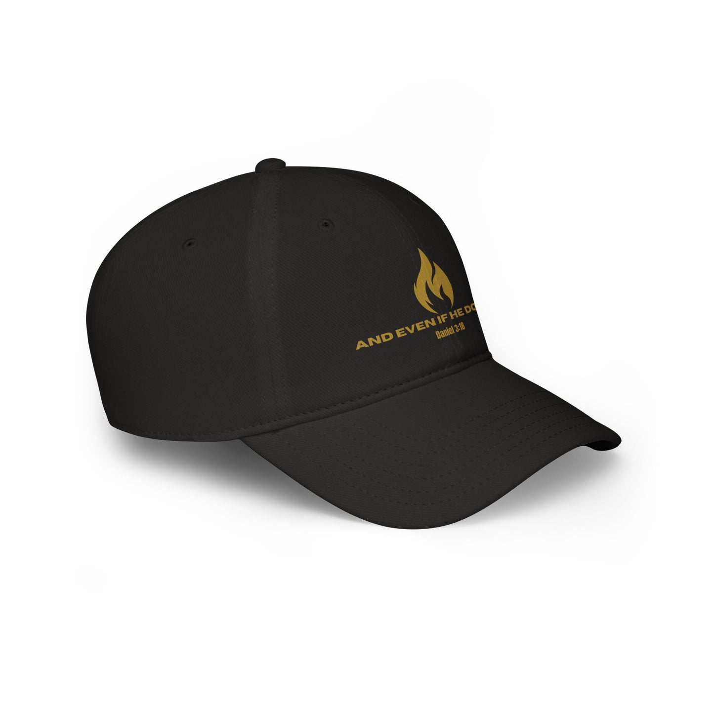 Even If He Doesn't Low Profile Hat