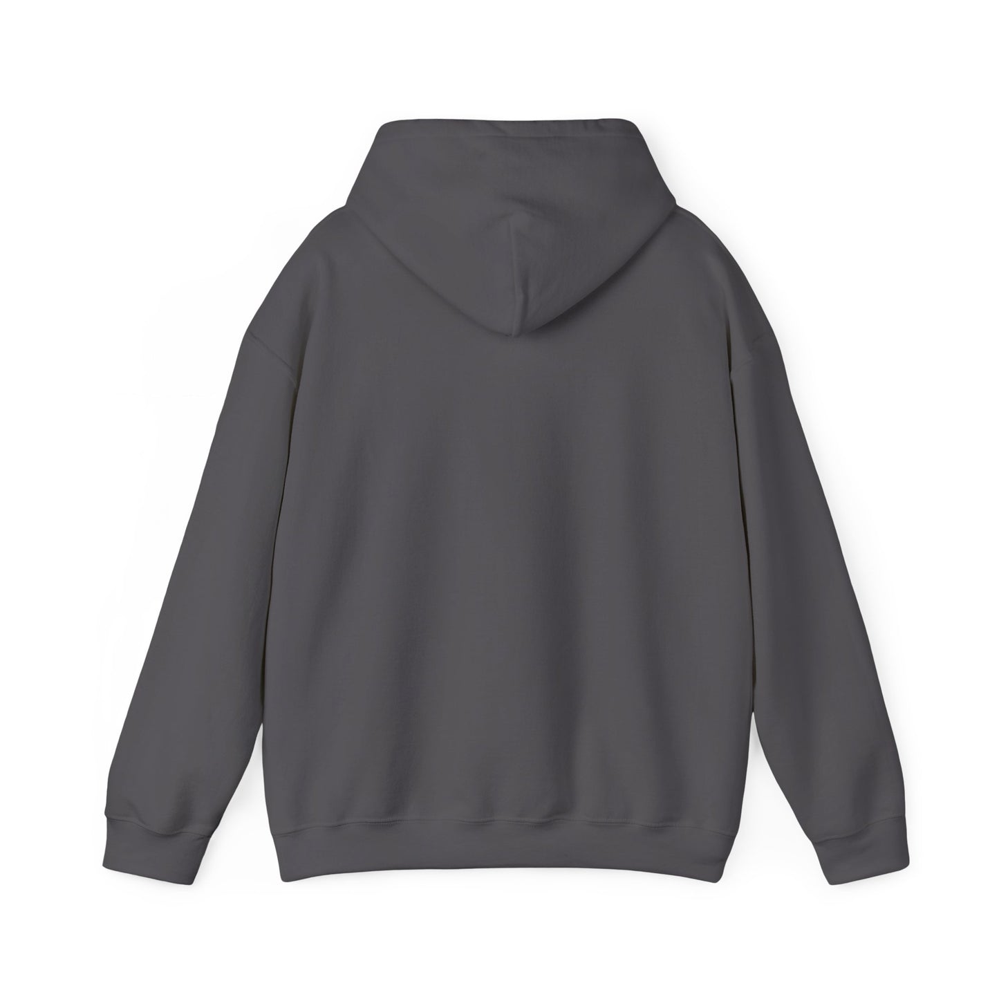 Raising Tiny Disciples Hoodie