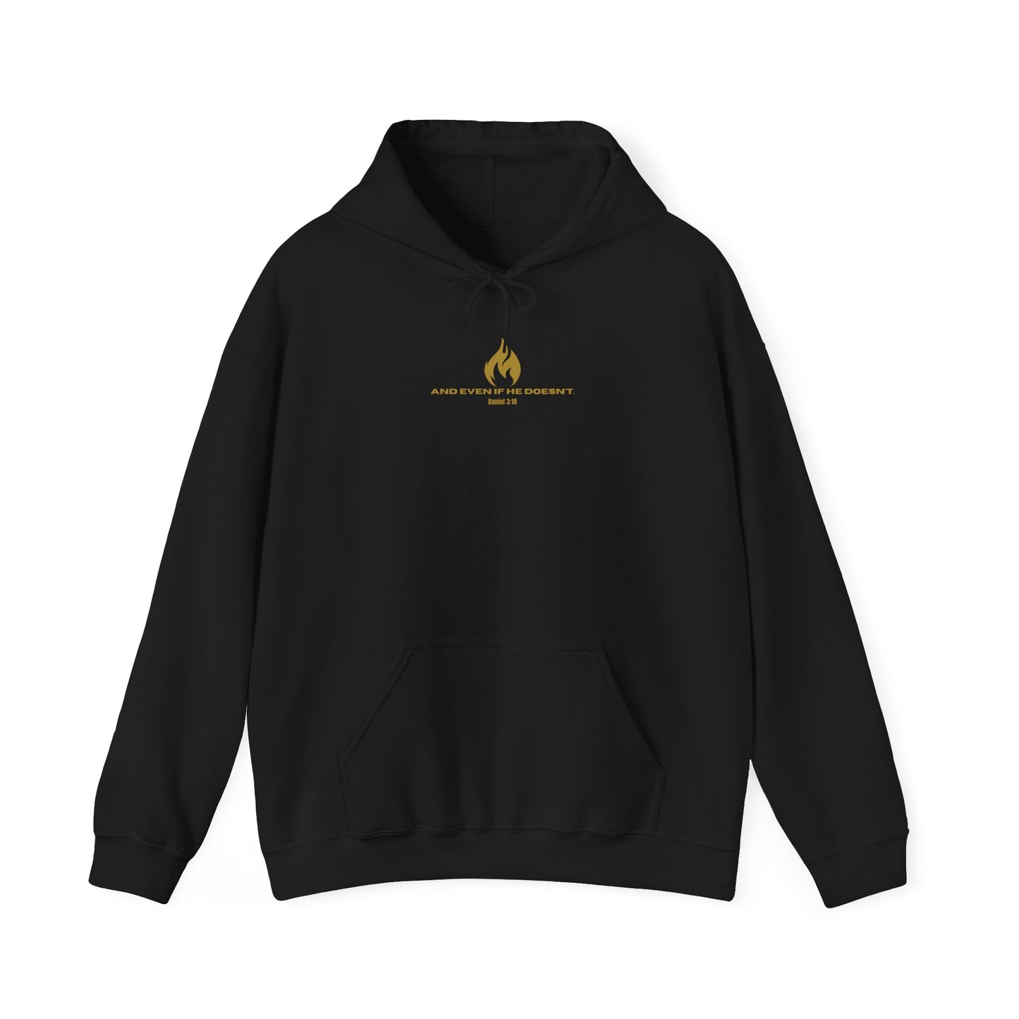 Daniel 3 Scene Hoodie