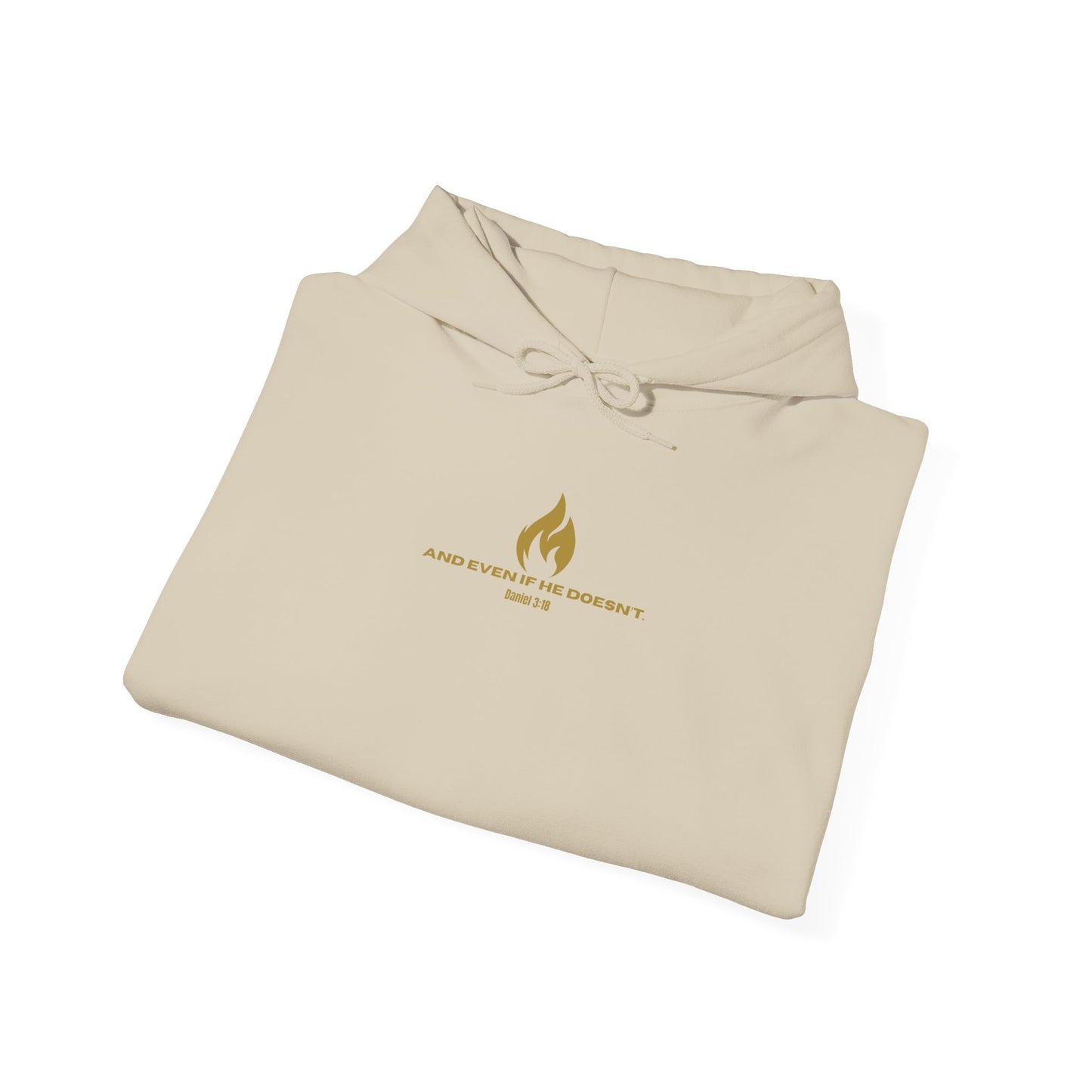 Daniel 3 Scene Hoodie