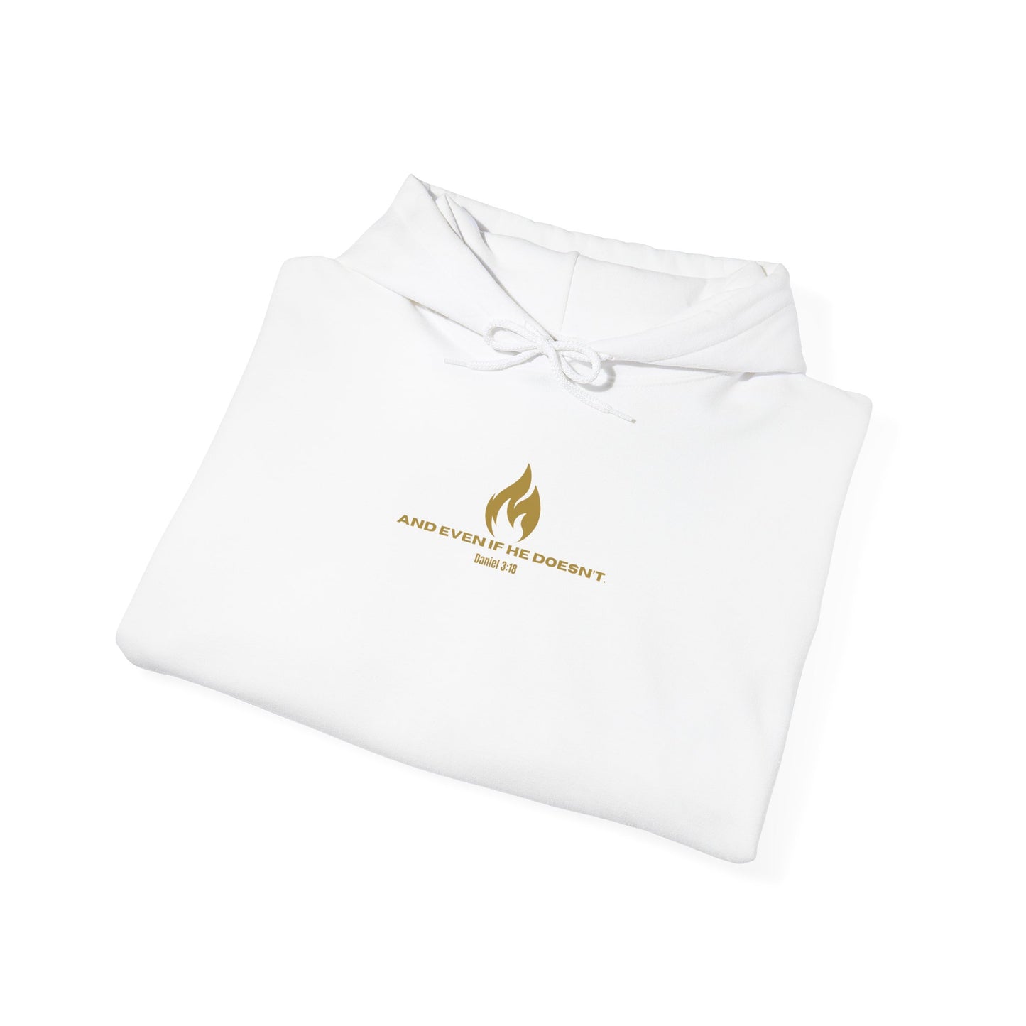 Daniel 3 Scene Hoodie