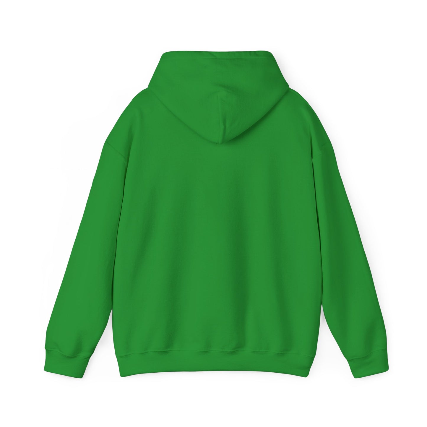 Lion of Judah YHWH Unisex Hoodie