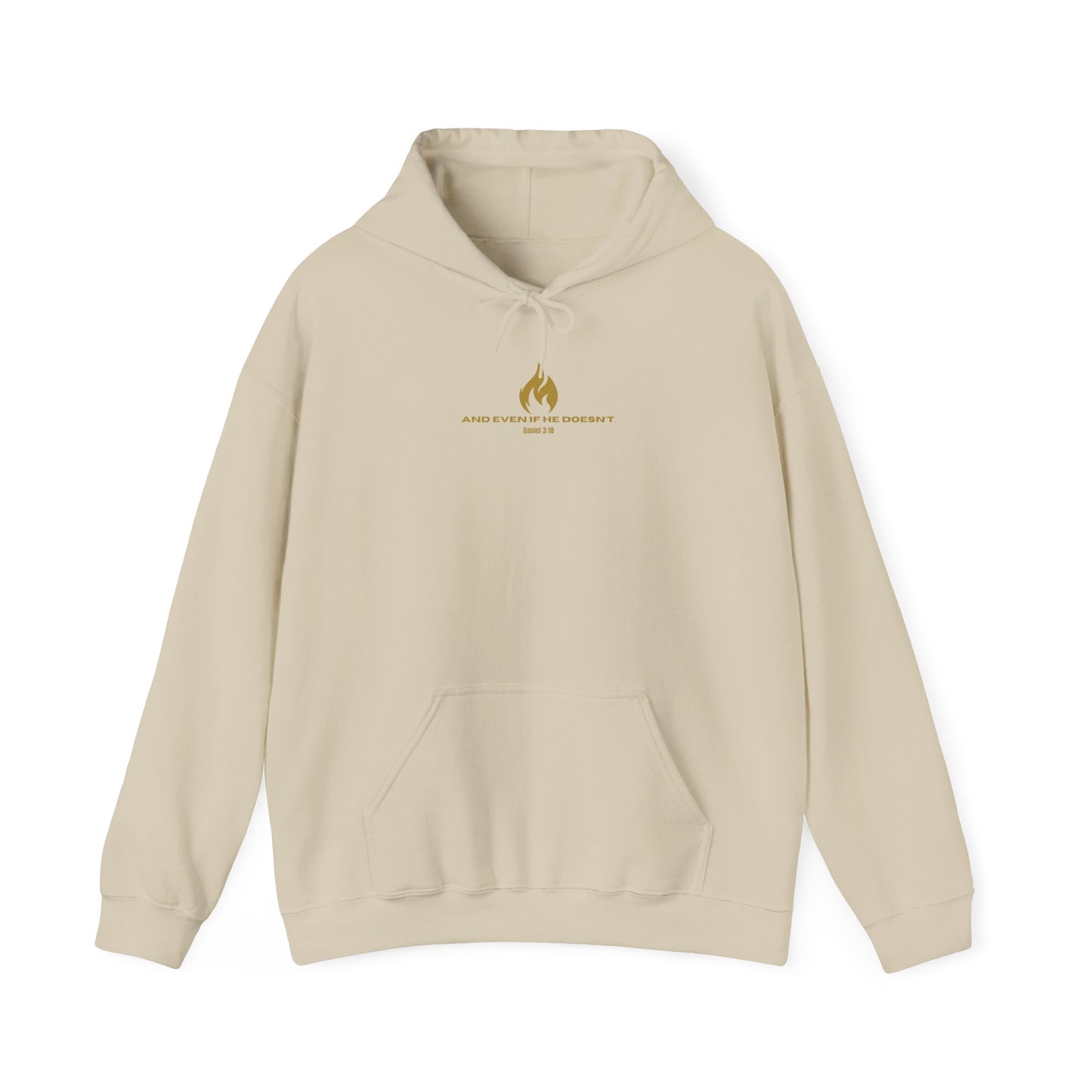 Daniel 3 Scene Hoodie
