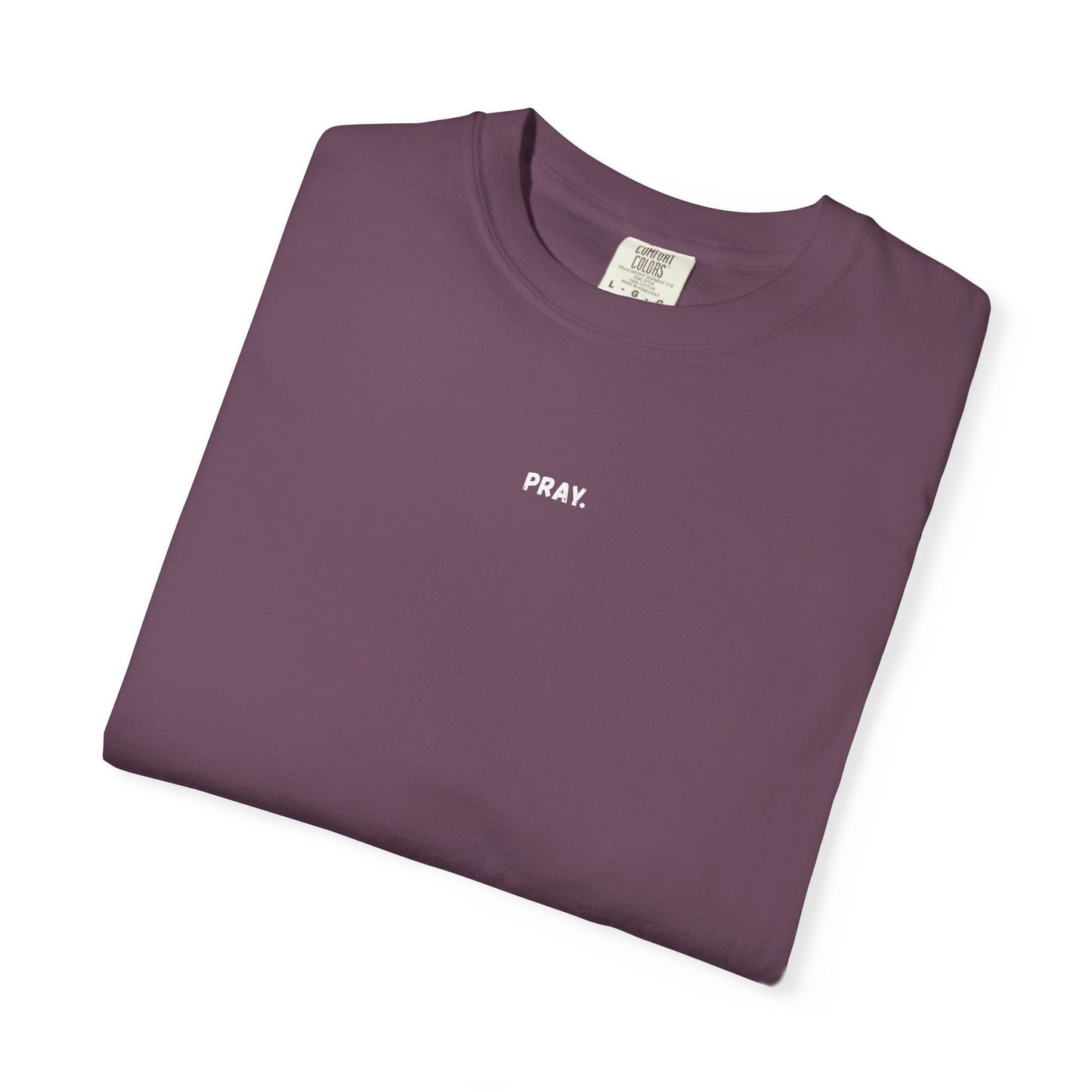 Pray & Rest Philippians 4 Tee