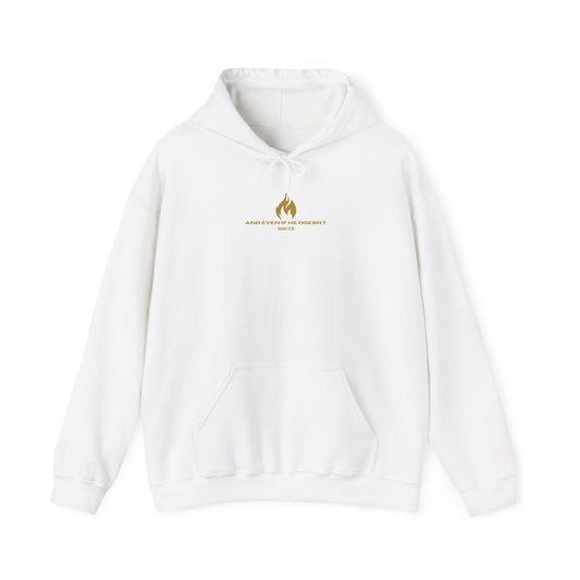 Daniel 3 Scene Hoodie