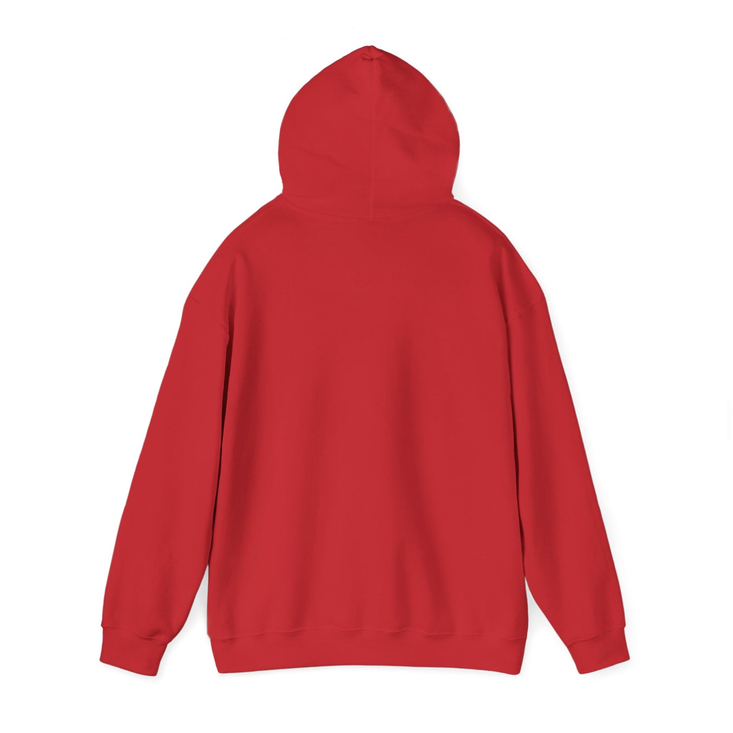 Lion of Judah YHWH Unisex Hoodie