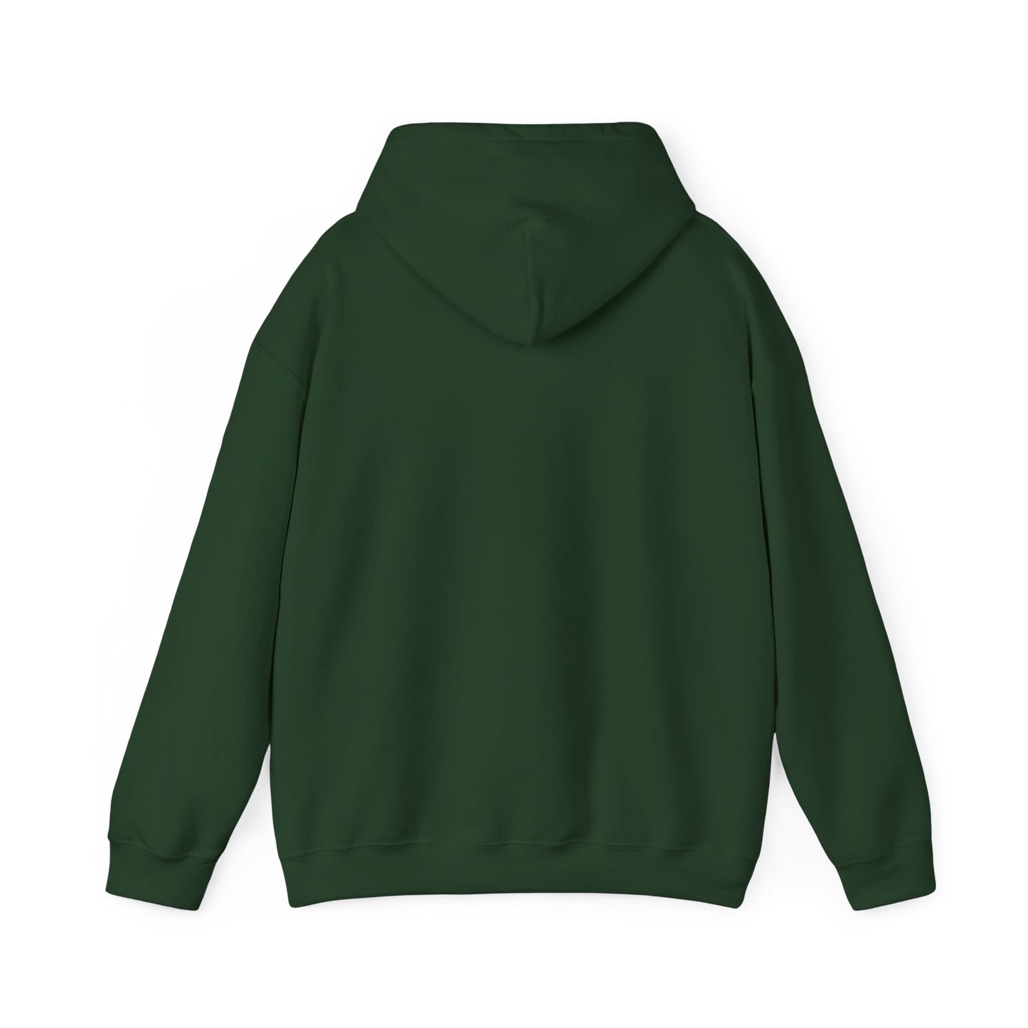 Lion of Judah YHWH Unisex Hoodie